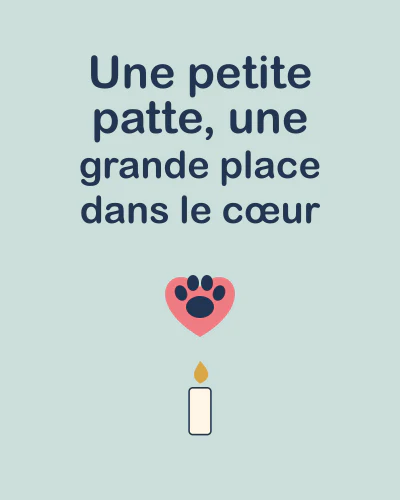 Une petite patte, une grande place dans le cœur